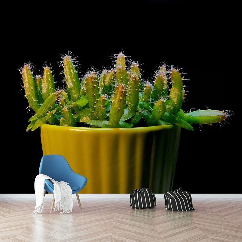 Prickly Cactus Minimalism Style Mural Wallpaper for Reading Room, Customized Size Available