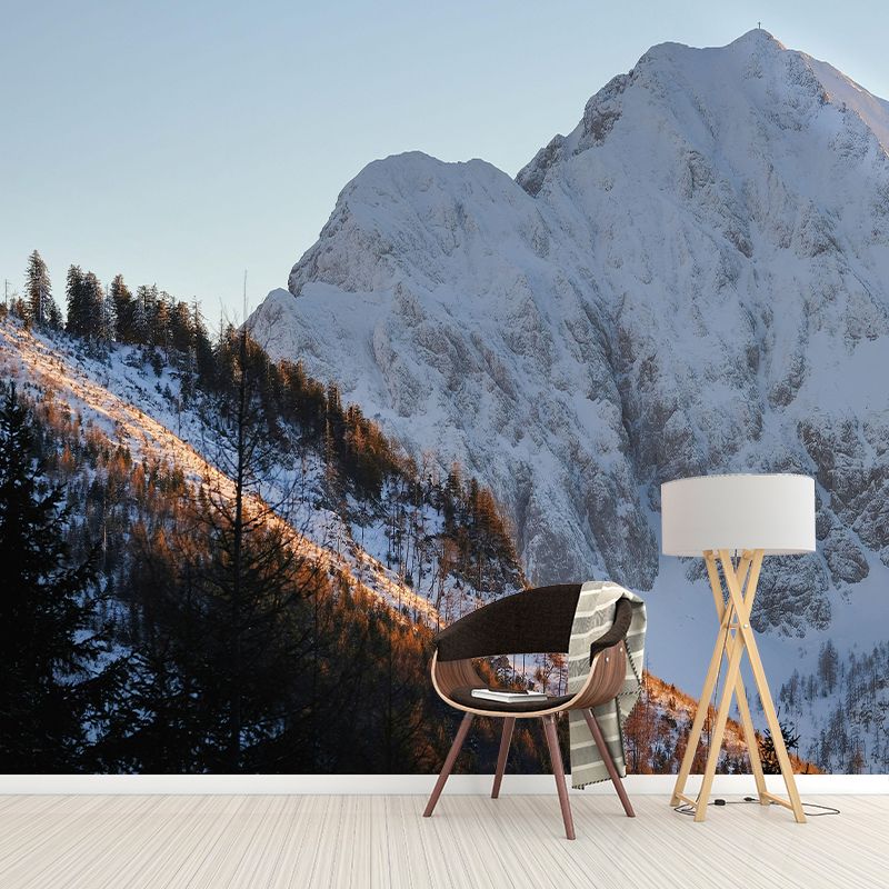 Mountain Wall Mural Wallpaper Modern Style Mildew Resistant Bedrom Mural