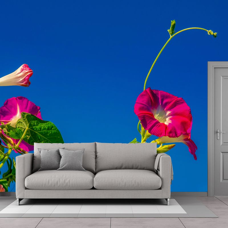 Customized Moisture Resistant Mural Wallpaper Decal Morning Glory Wall Decor