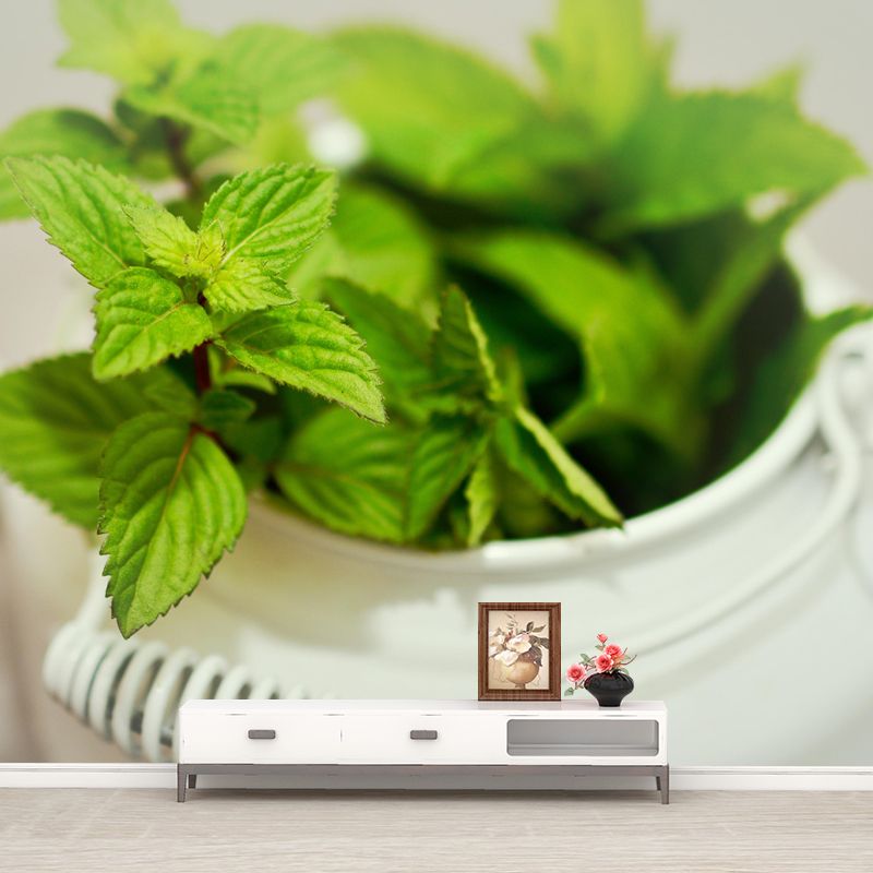 Contemporary Mint Mural Environment Friendly Wallpaper for Living Room