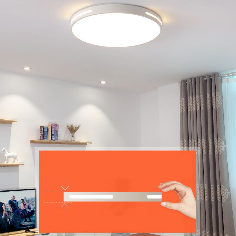 Lámpara de techo nórdica moderna y sencilla personalidad estudio de Sala de estar LED ultradelgado lámpara de ahorro de energía de caballo de hierro