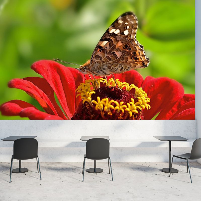 Environment Friendly Mural with Butterfly Painting Mildew Resistant Wallpaper Home Decor