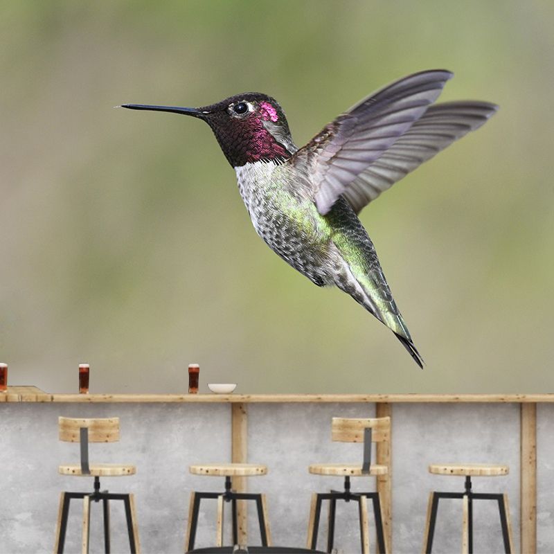 Modern Hummingbird Wall Mural Decal Eco-friendly Stain Resistant for Sitting Room