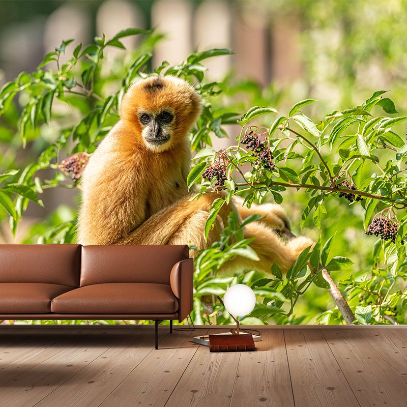 Modern Style Gibbon Mural Wall Decor Mildew Resistant Living Room Wall Mural Wall Art