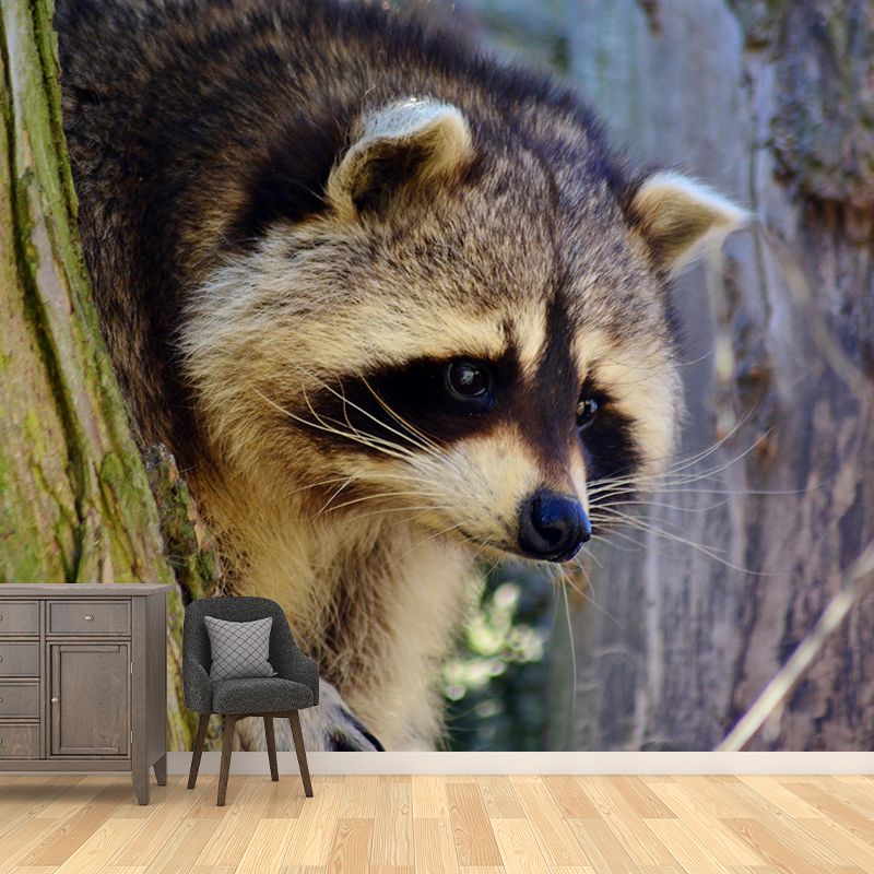 Lovely Raccoon Wall Mural Wallpaper Mildew Resistant Wall Covering for Decoration