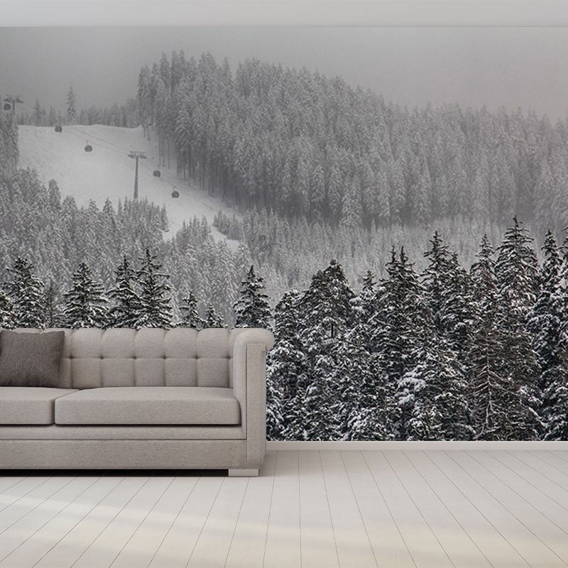 Mountain Forest Mural Horizontal Photography Sitting Room Wall Mural