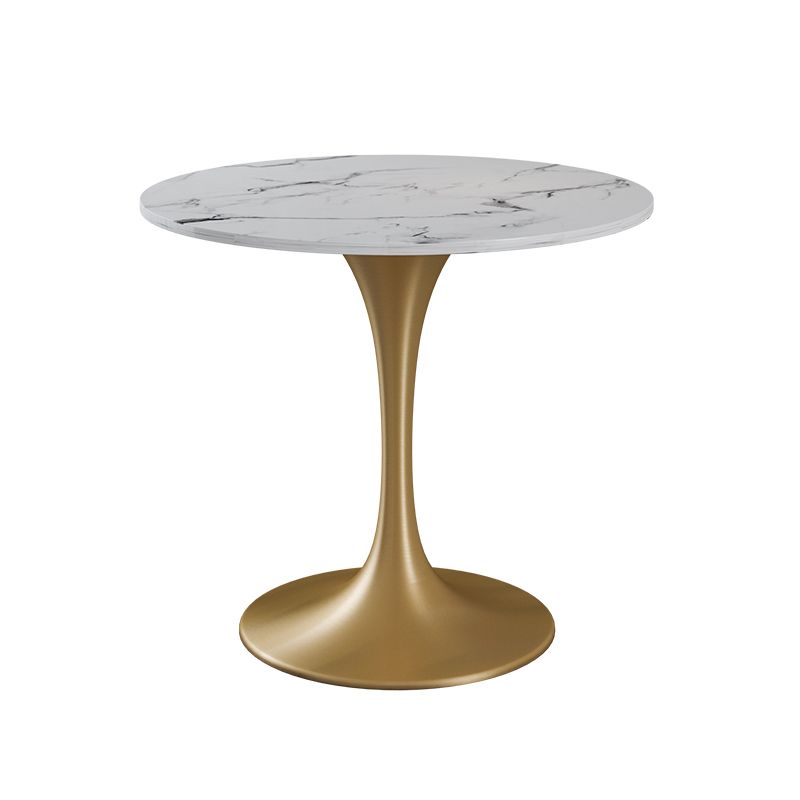 Glam Style Sintered Stone Dining Set Round 1/4/5 Pieces Dining Table Set for Home Use