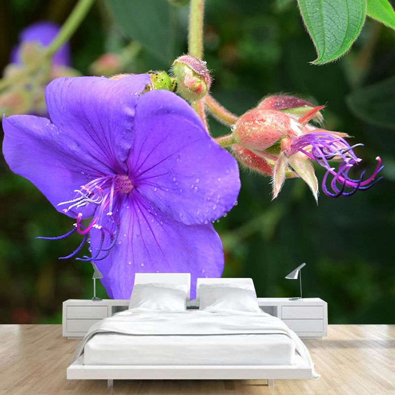 Customized Bauhinia Mural Wallpaper Waterproofing Wall Decor for Meeting Room