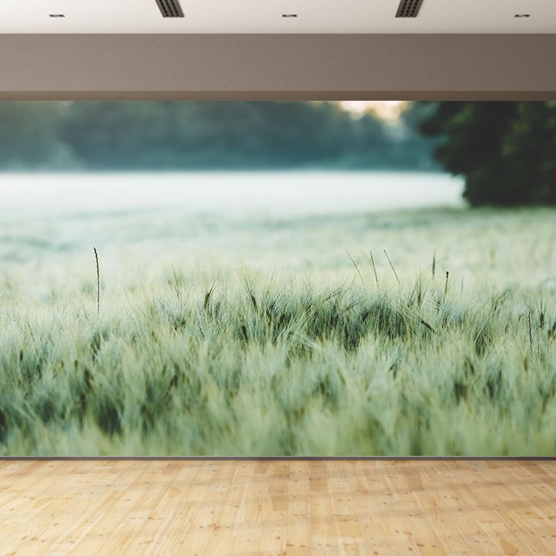 Relaxing Barley View Mural Wallpaper Pastel Color Modern Wall Covering for Drawing Room