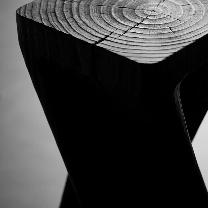 Contemporary Style Side End Table Wooden Pedestal Sofa Side Accent Table in Black