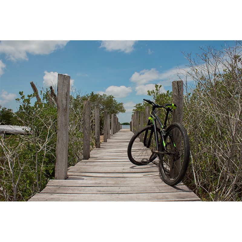 Bike Mural Wallpaper Home Decor Unique Design for Man Boy Room, Custom Size Available