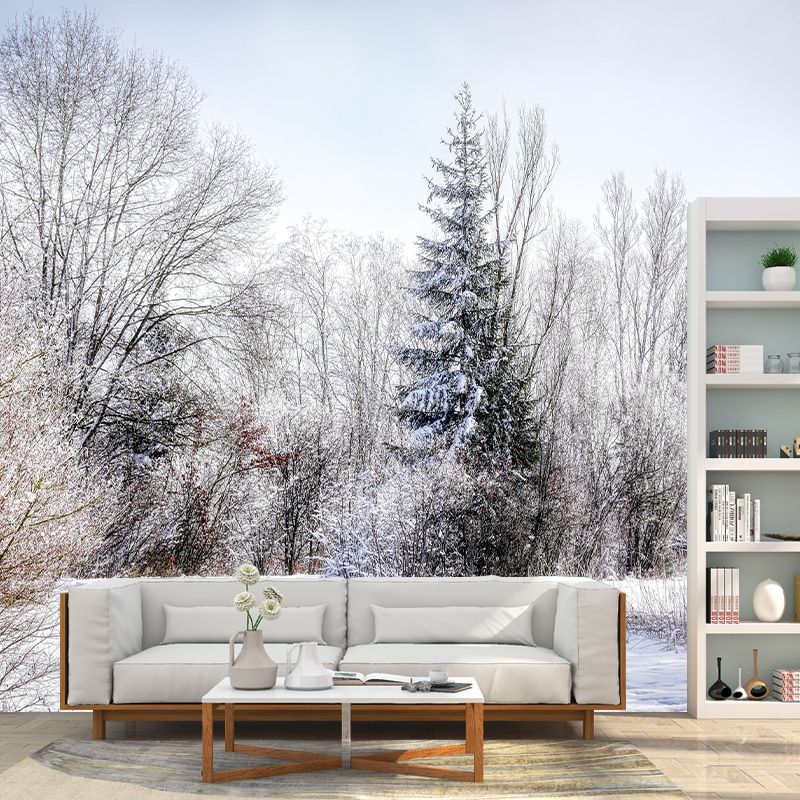 Contemporary Photography Style Forest Mural Wallpaper Mildew Resistant Wall Covering