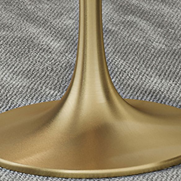 Modern Sintered Stone Dining Room Set with Round Top and Gold Base Furniture