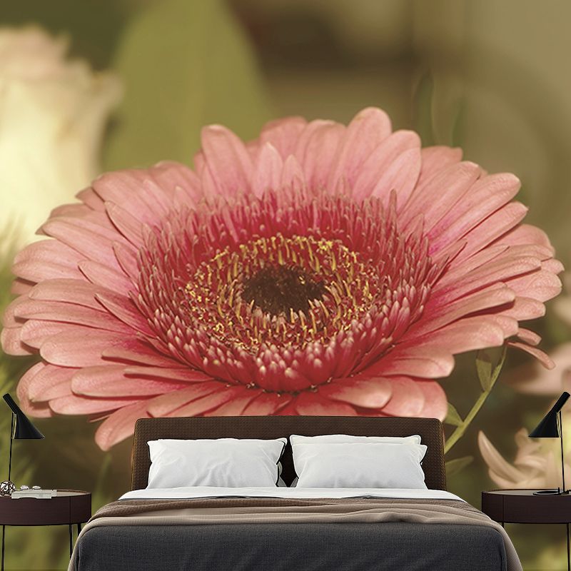 Gerbera Mural Wallpaper Minimalist for Gust Room Bedroom, Stain Resistant