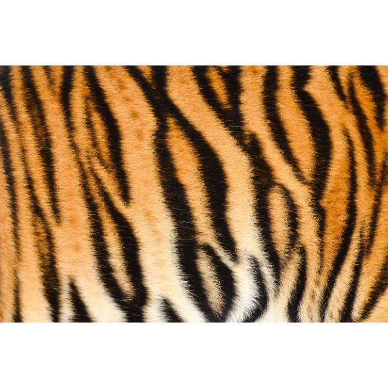 Wild Animal Skin Pattern Mural Modern Waterproof Boys Bedroom Wall Decor, Custom Size