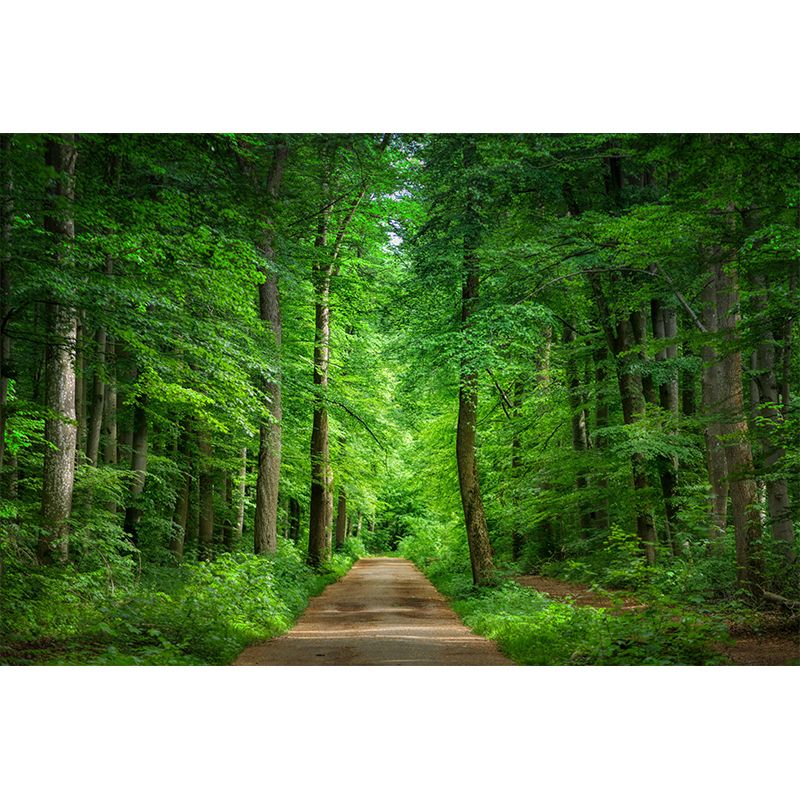 Soft Color Moisture Resistant Forest Mural Wallpaper Wall Covering