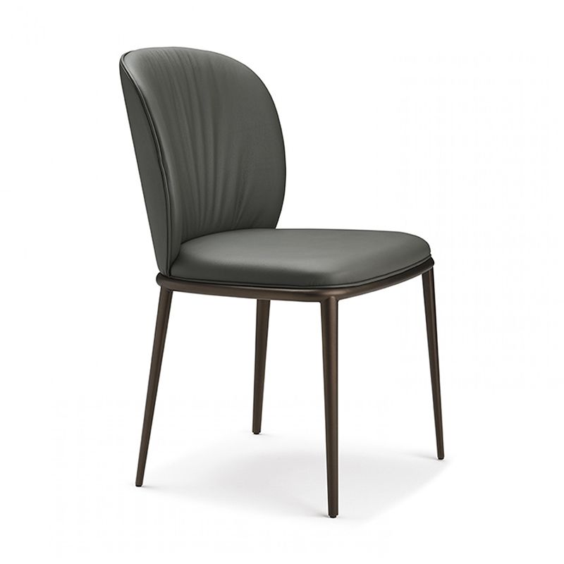 Modern Dining Chairs Armless Dining Chairs with Metal Legs for Kitchen