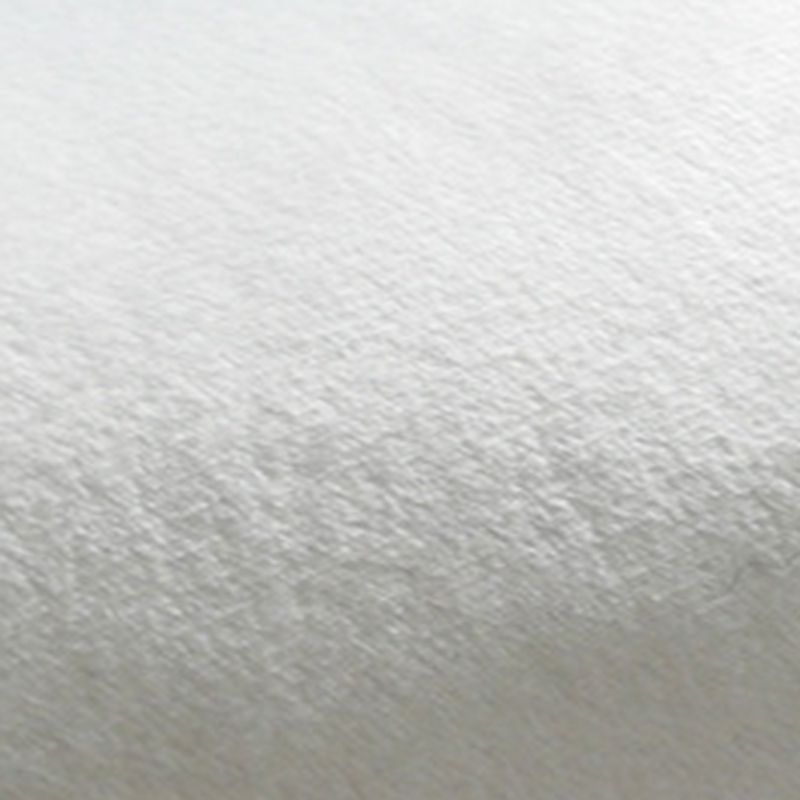 Contemporary Checkered Print Rug Polyester Carpet Stain Resistant Indoor Rug for Home Decoration