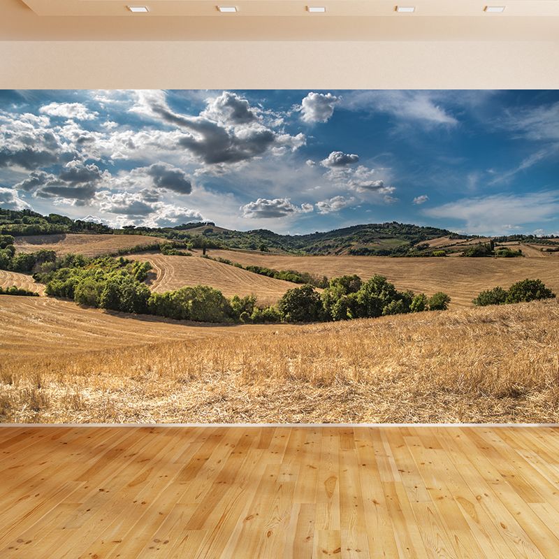 Contemporary Photo Wheat Field Mural Soft Color Stain Resistant Wall Art for Dining Room