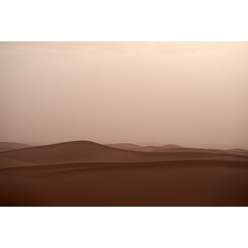 Custom Made Huge Desert Mural Wallpaper Contemporary Style Living Room Wall Mural