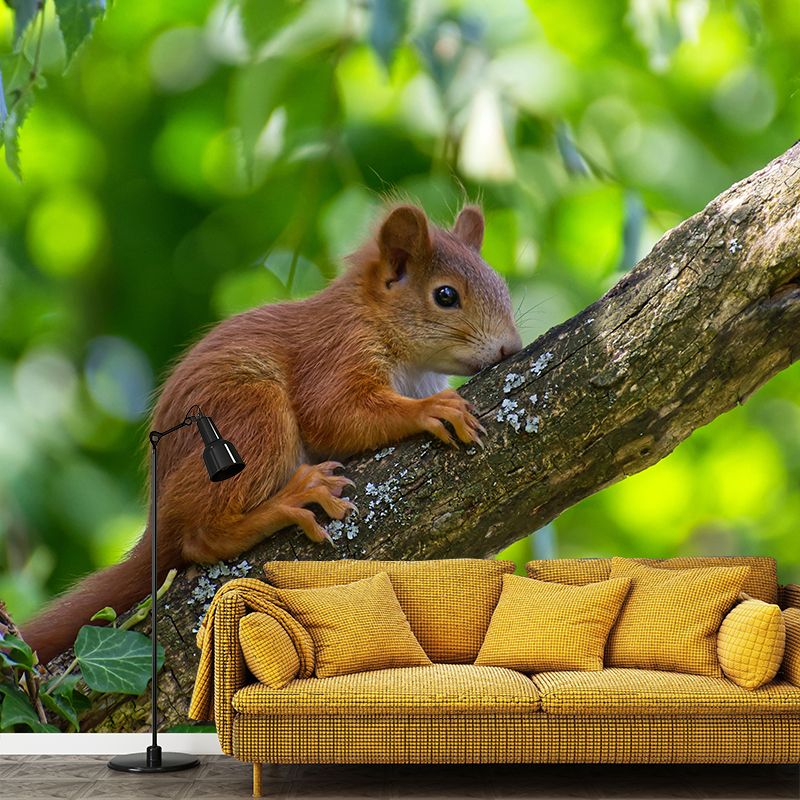 Lovely Squirrel Wallpaper Mural Decal Customized Modern Wall Covering for Bedroom