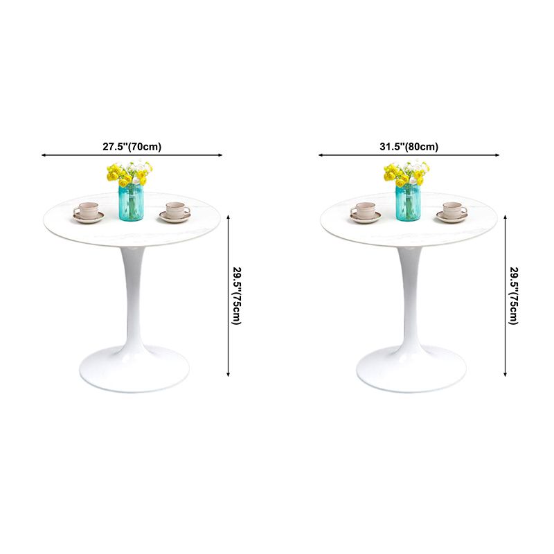 Modern Style Sintered Stone Scratch Resistant Dining Table Single Pedestal Base Round Table for Home