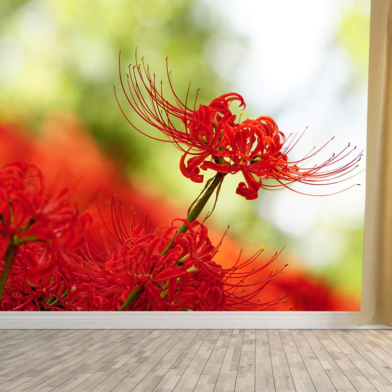 Beautiful Higan-Flower Wall Covering for Living Room Contemporary Moisture-Resistant Mural