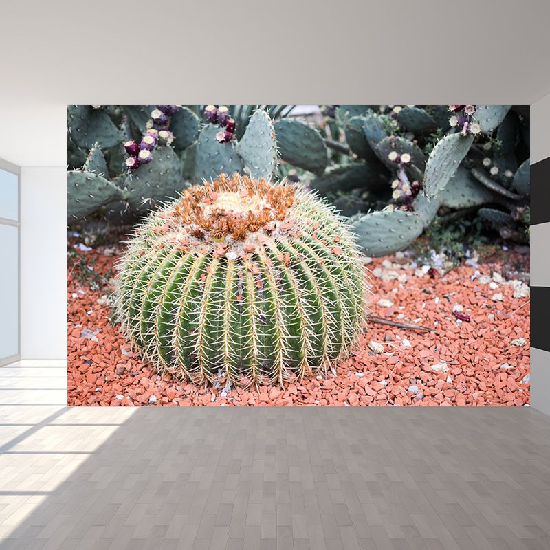 Tropical Cactus Mural Personalized Size Wall Covering for Sleeping Room
