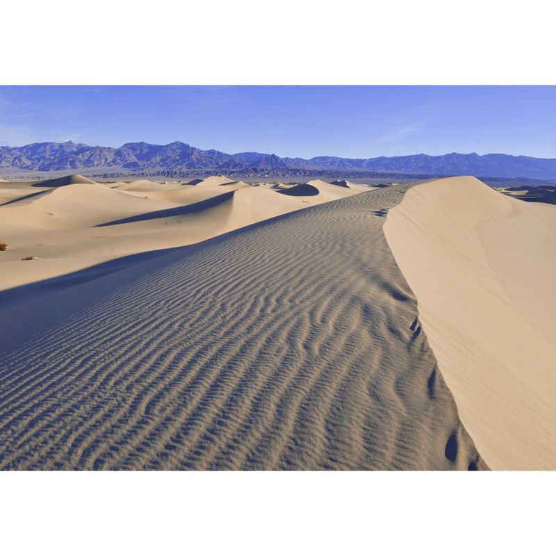 Extra Large Modern Wallpaper Mural White Dune and Far Away Mountain View Wall Art, Custom Print