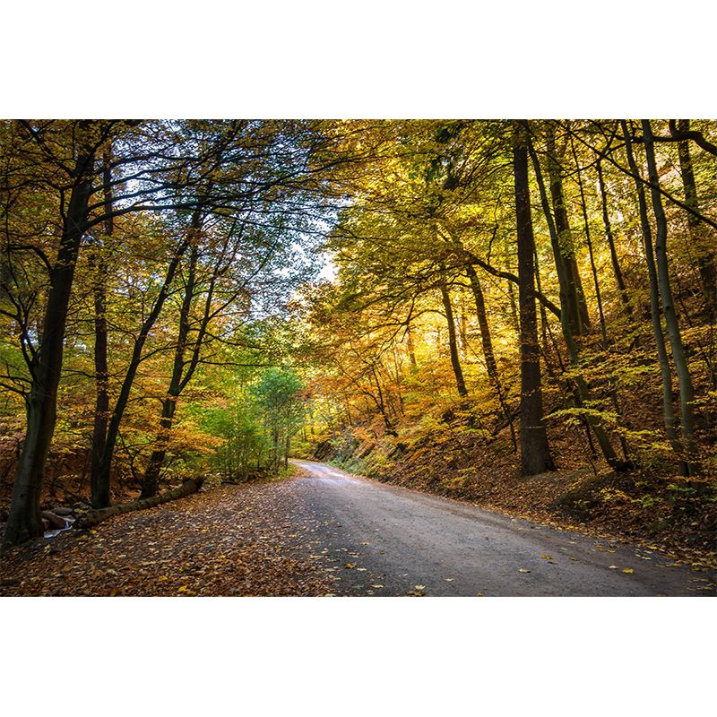 Space Extension Mural Wallpaper Photography Mildew Resistant for Living Room