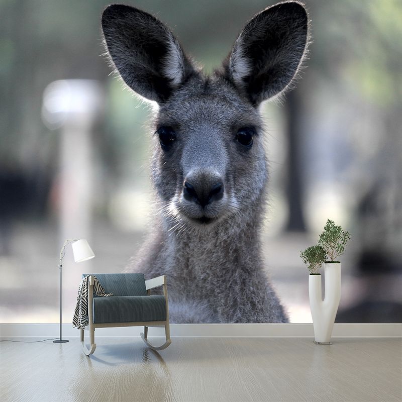 Clever Kangaroo Mural Decal Water Resistant Wall Decor for Living Room