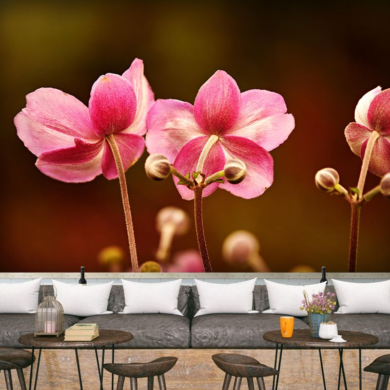 Peintures murales décoratives de photographie de floraison d'anémone de couleur claire pour les chambres à coucher