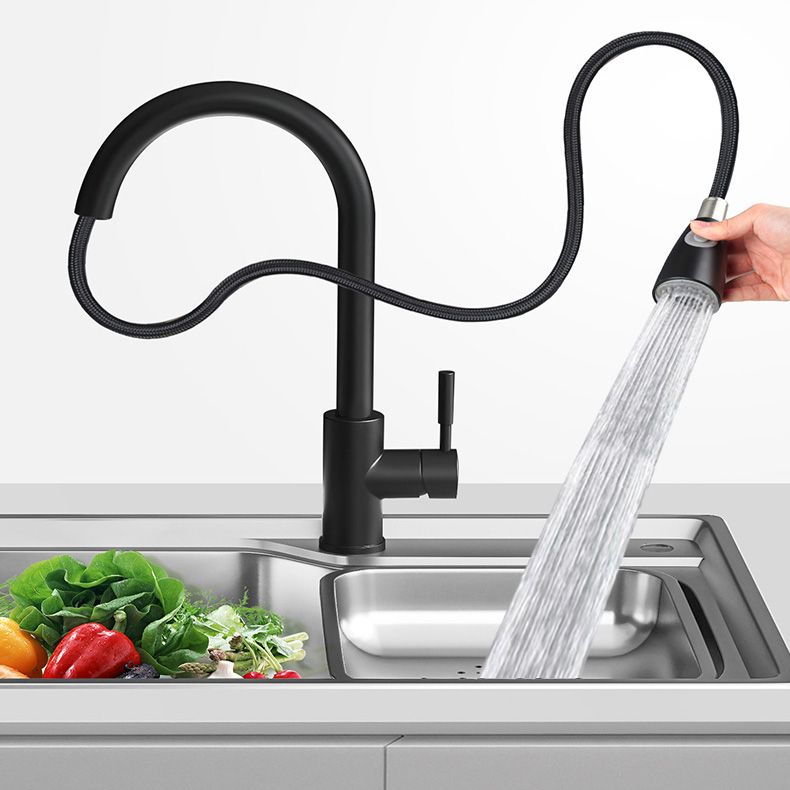 Contemporary Spray Kitchen Faucet Pulldown Sprayer Bridge Faucet