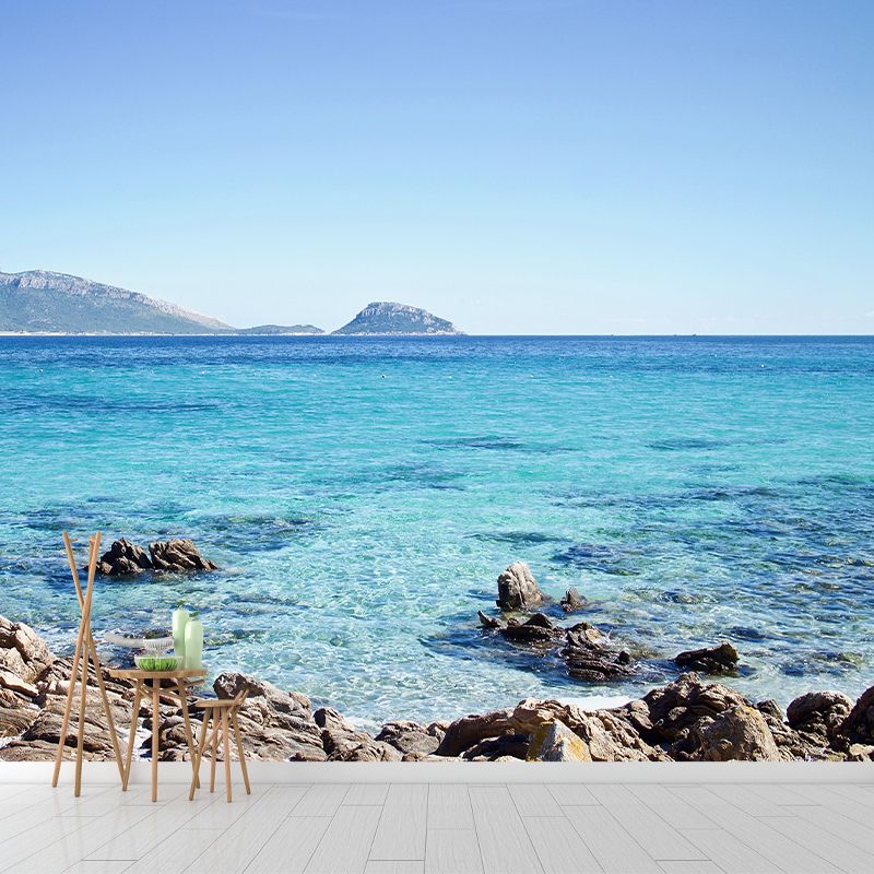 Contemporary Sea Wall Mural Mildew Resistant Covering for Dining Room Bathroom