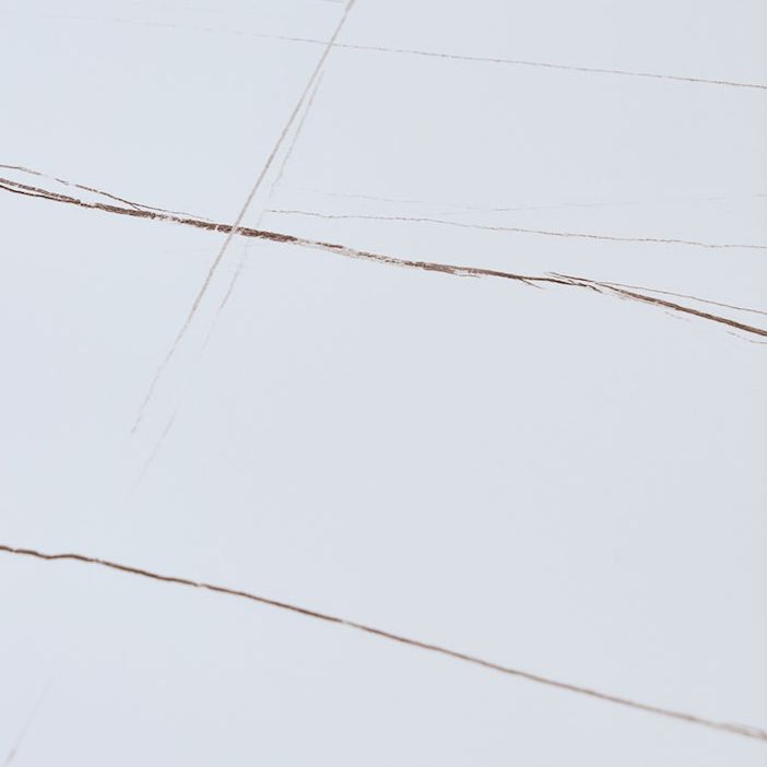 Contemporary Rectangle Dining Room Table Sintered Stone Table with Black Pedestal Base
