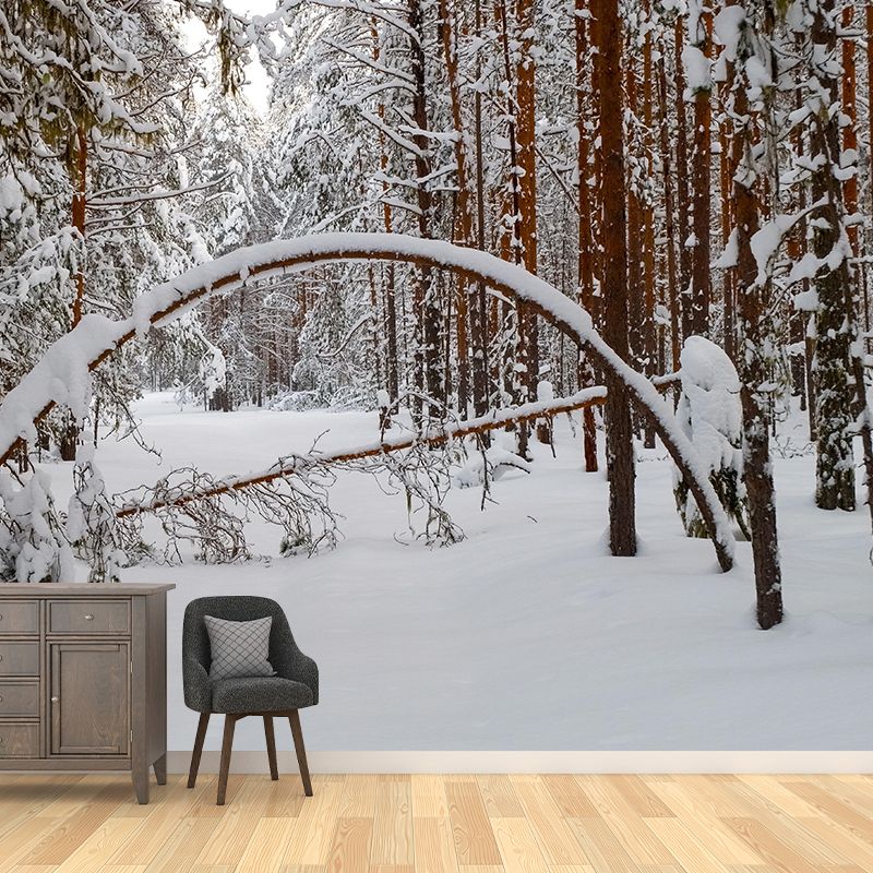 Photography Forest Mural Wallpaper for Living Room Wall Covering in Soft Color