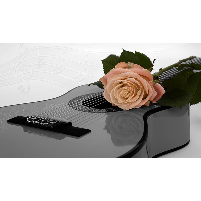 Guitar Mildew Resistant Mural Wallpaper Sleeping Room Wall Mural