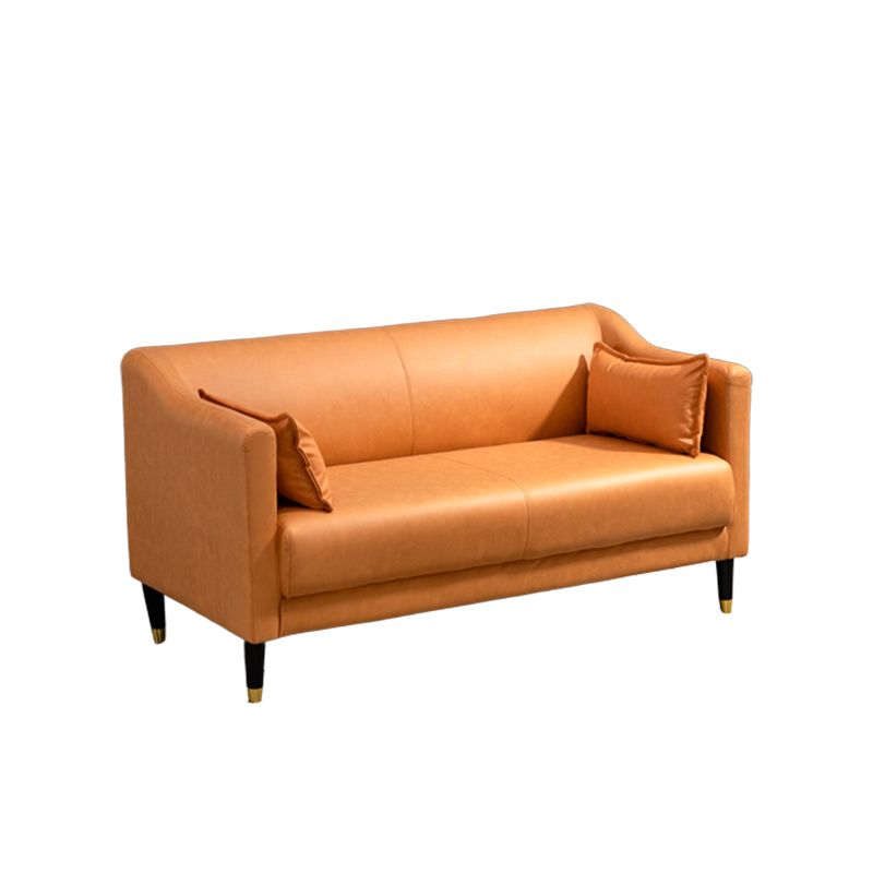 Stain Resistant Standard Sofa Pillows Included Settee with Metal Legs