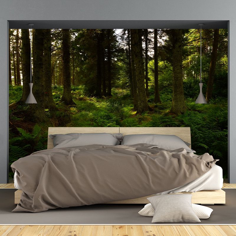 Photography Mildew Resistant Mural Wallpaper Forest Living Room Wall Mural