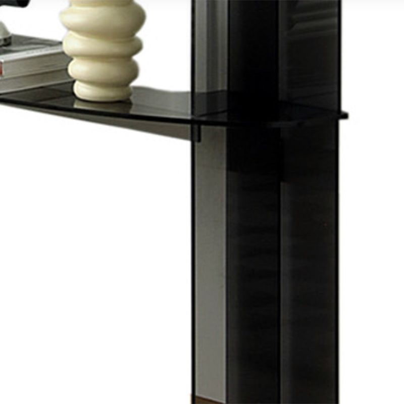 Contemporary Acrylic Console Accent Table with 2 Shelves for Hall