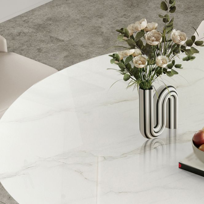 Nordic 1/2/5/7 Pieces Round Dinette Set with Sintered Stone Table and Chairs Furniture