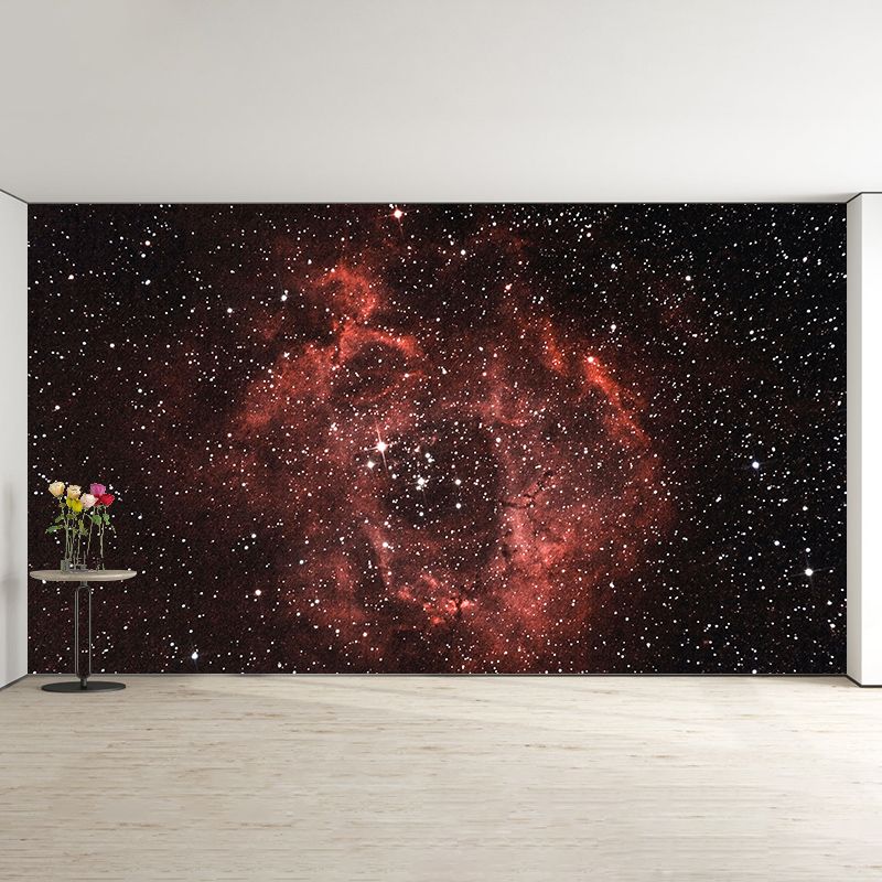 Modern Style Photography Wall Mural Wallpaper Cosmos Bedroom Wall Mural