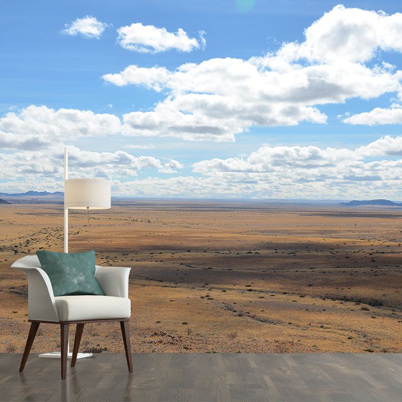 Customized Desert Wall Mural Contemporary Photography for Kitchen Living Room