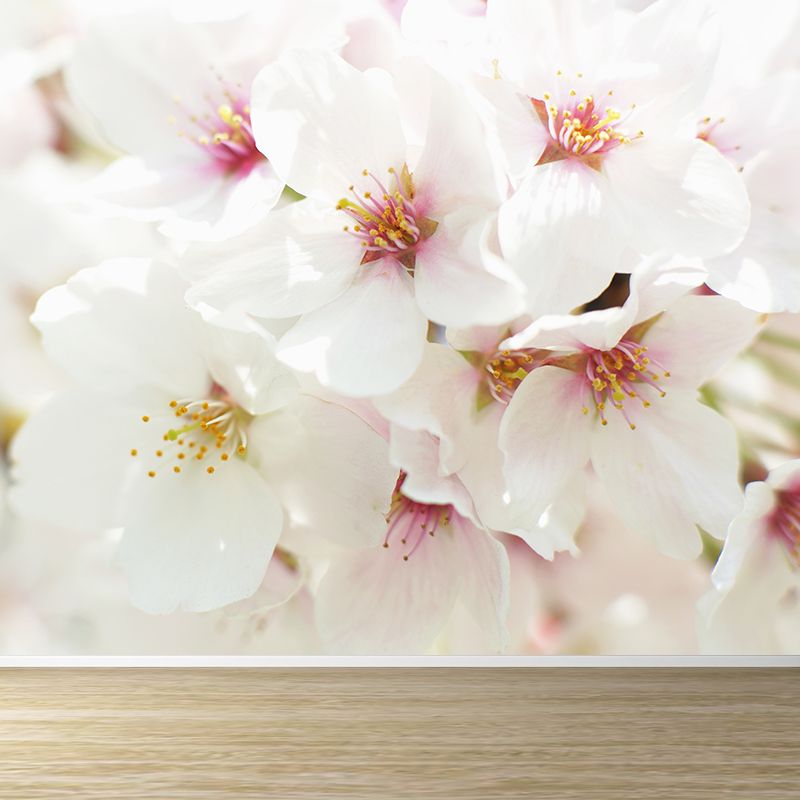 Whole Cherry Mural White Non-Woven Texture Wall Art for Indoor Decor, Personalised