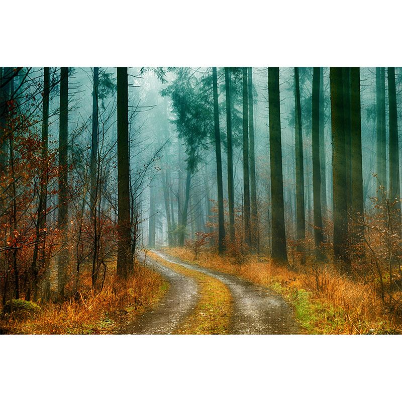 Huge Forest Modernist Wall Mural Decal Photography Stain Resistant for Living Room