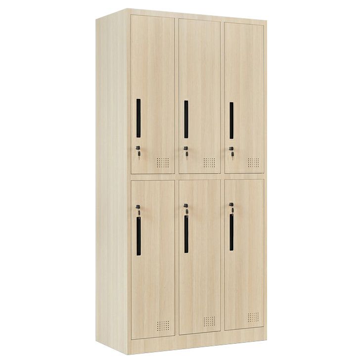 Modern Metal Wardrobe for Home Matte Finish Cabinet with Hinged Doors