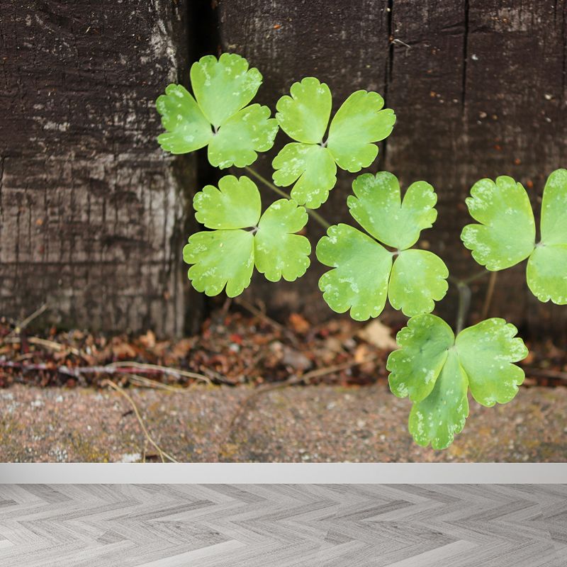 Contemporary Green Plant Wall Mural with Clover Pattern for Bar Decoration