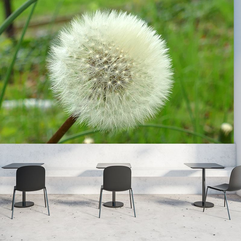 White Dandelion Wallpaper Murals Moisture Resistant Wall Decor, Personalised Size