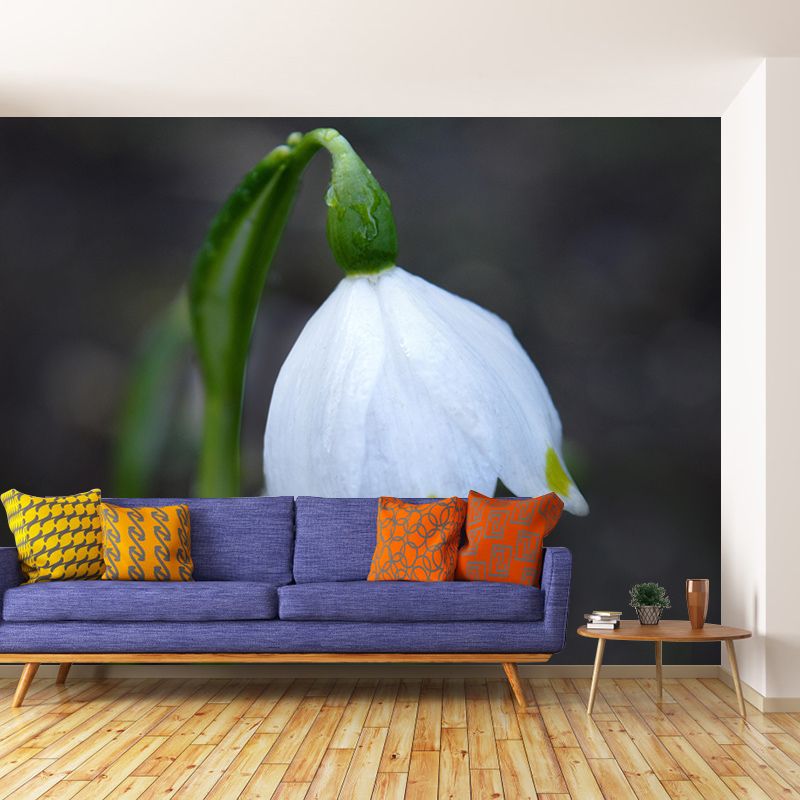 Contemporary Marzenbecher Flower Mural Soft Color Stain Resistant Wall Art