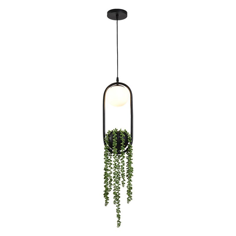 Black 1 Light Spherical Pendant Light Nordic Retro Oval Metal Ring Shade Hanging Lamp with Green Plant